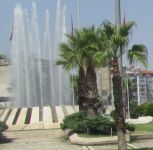 Palmės ir fontanas
